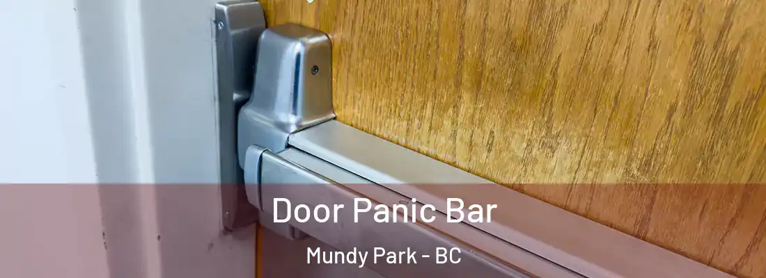 Door Panic Bar Mundy Park - BC