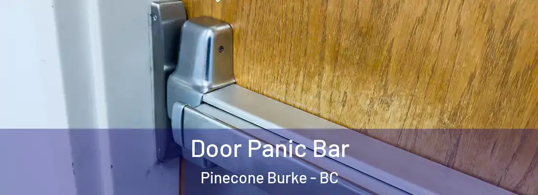  Door Panic Bar Pinecone Burke - BC