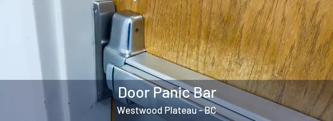  Door Panic Bar Westwood Plateau - BC