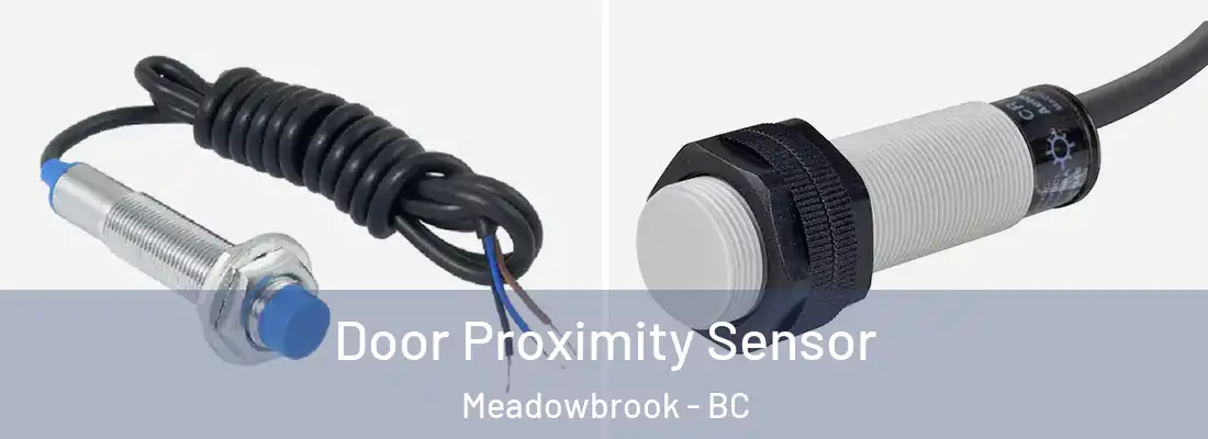  Door Proximity Sensor Meadowbrook - BC