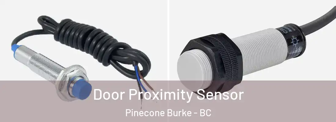 Door Proximity Sensor Pinecone Burke - BC