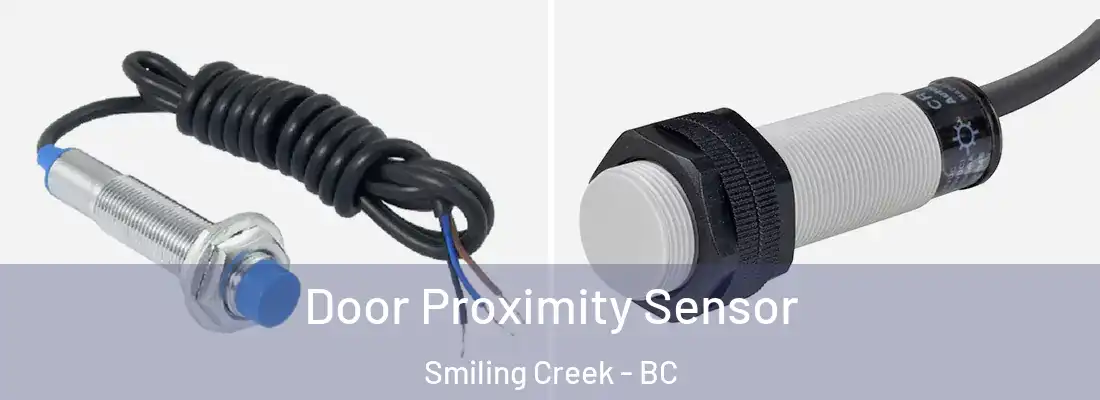  Door Proximity Sensor Smiling Creek - BC