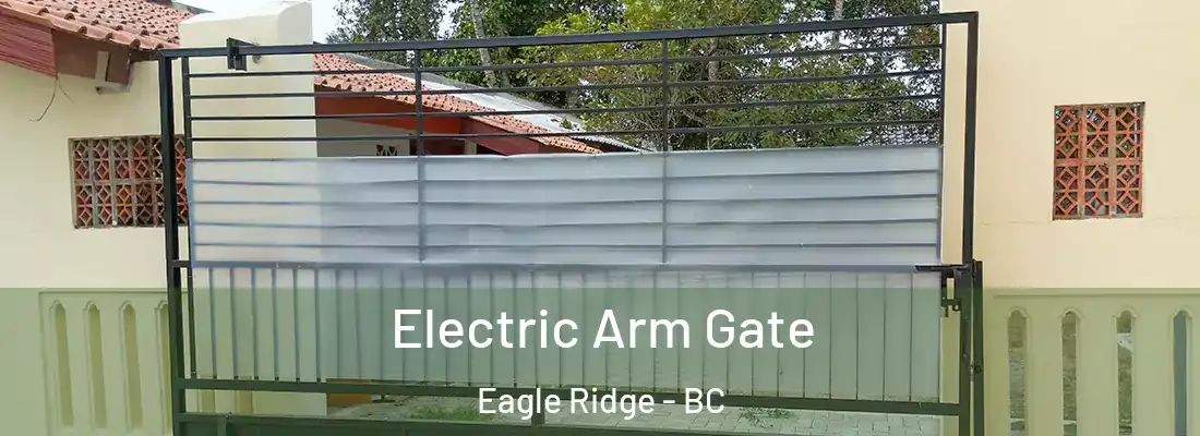  Electric Arm Gate Eagle Ridge - BC