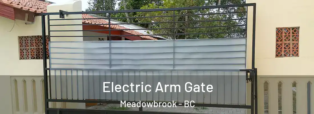  Electric Arm Gate Meadowbrook - BC