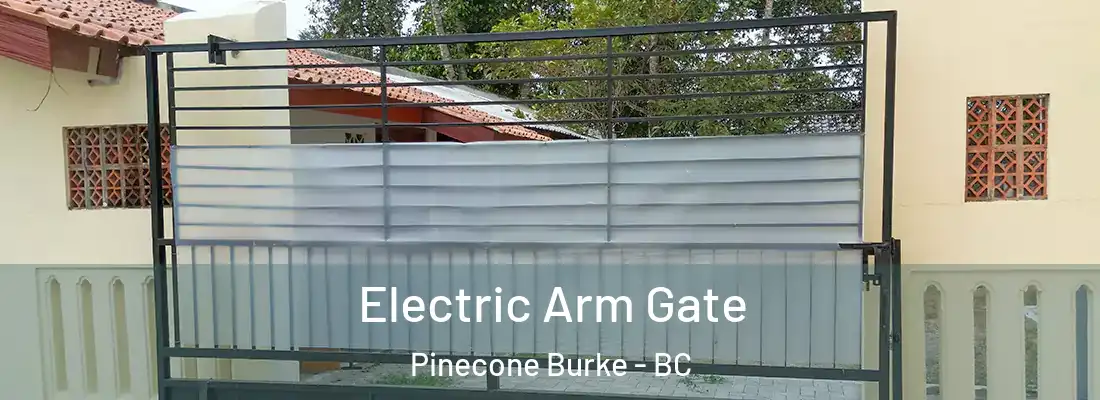  Electric Arm Gate Pinecone Burke - BC
