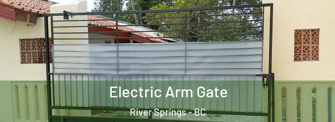  Electric Arm Gate River Springs - BC