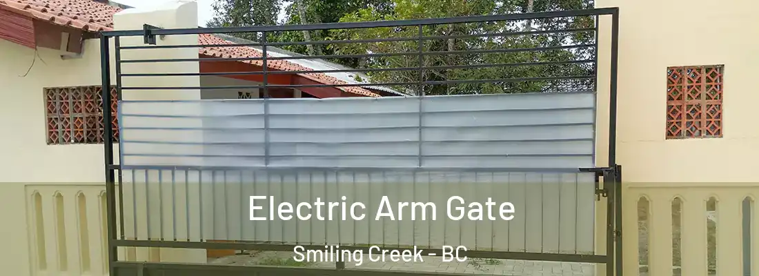  Electric Arm Gate Smiling Creek - BC