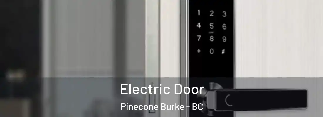  Electric Door Pinecone Burke - BC