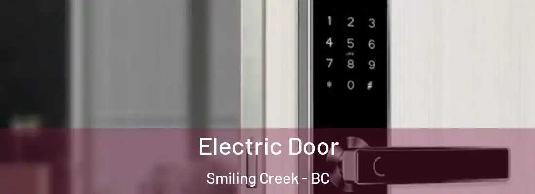  Electric Door Smiling Creek - BC