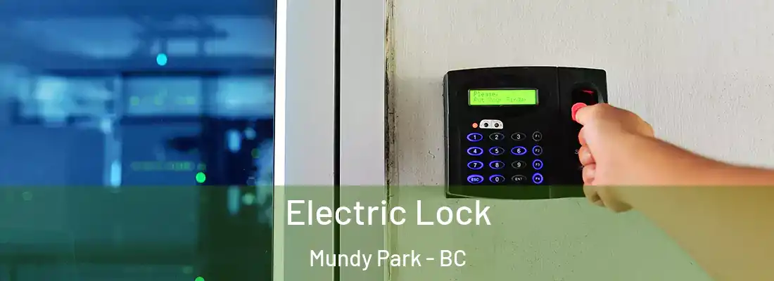  Electric Lock Mundy Park - BC