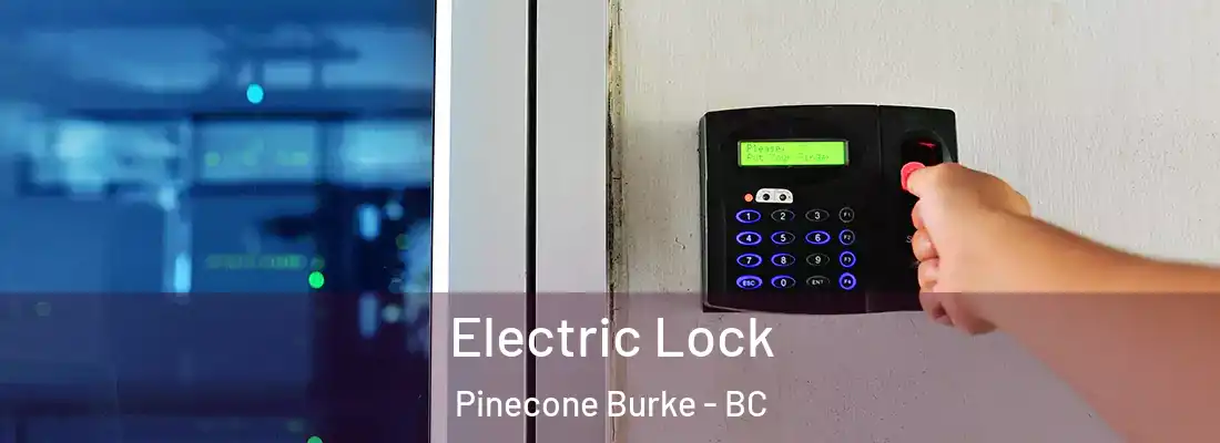  Electric Lock Pinecone Burke - BC