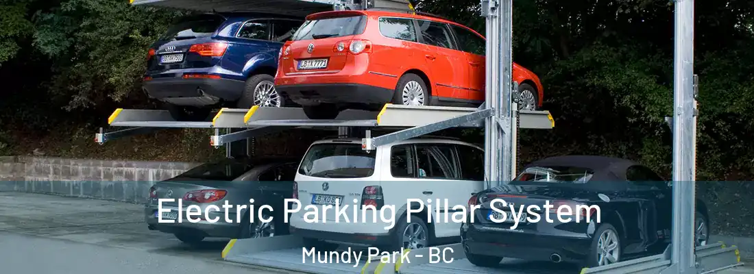  Electric Parking Pillar System Mundy Park - BC