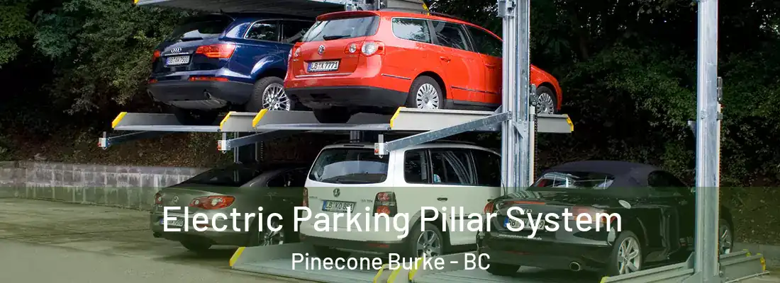  Electric Parking Pillar System Pinecone Burke - BC