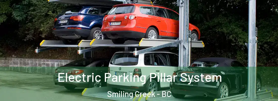  Electric Parking Pillar System Smiling Creek - BC
