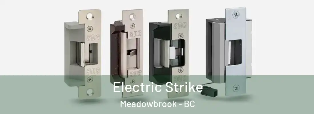  Electric Strike Meadowbrook - BC