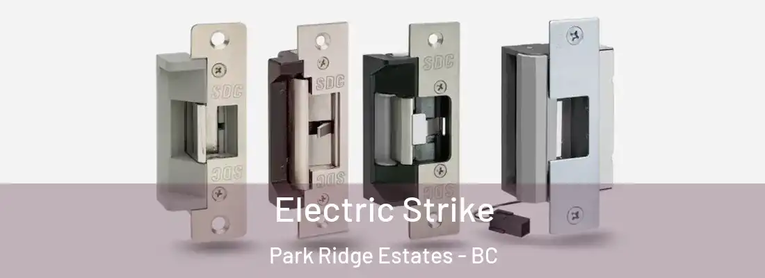  Electric Strike Park Ridge Estates - BC