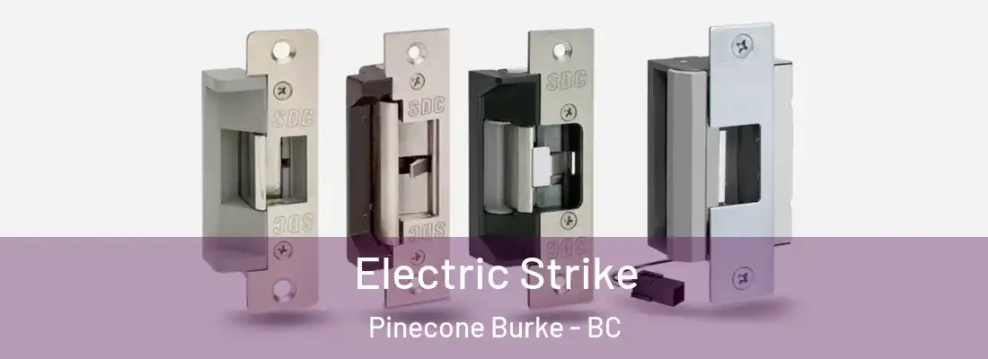  Electric Strike Pinecone Burke - BC