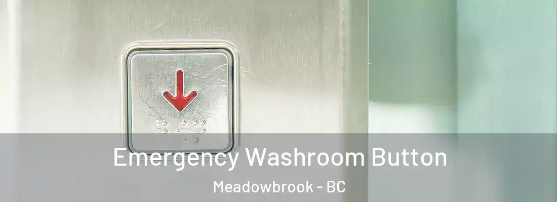  Emergency Washroom Button Meadowbrook - BC
