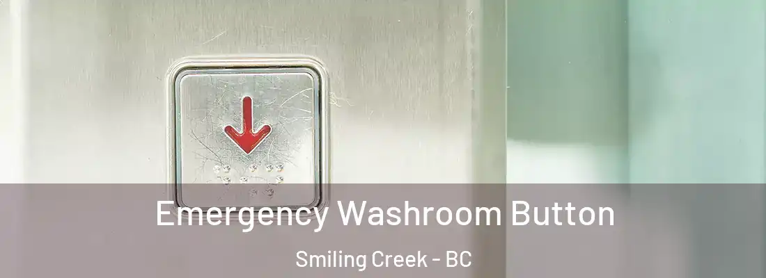  Emergency Washroom Button Smiling Creek - BC