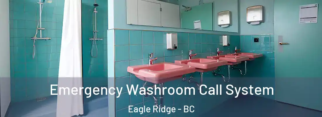  Emergency Washroom Call System Eagle Ridge - BC