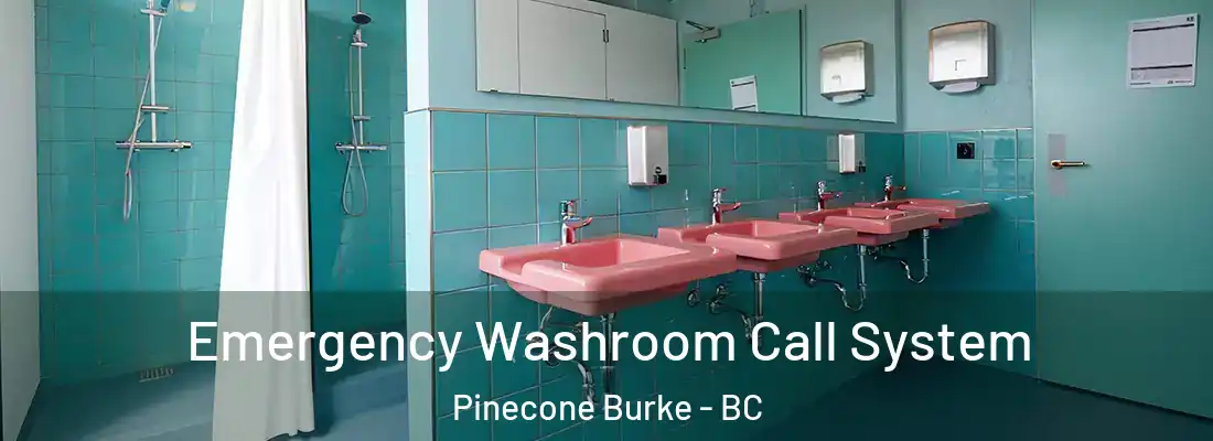  Emergency Washroom Call System Pinecone Burke - BC