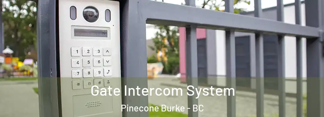  Gate Intercom System Pinecone Burke - BC