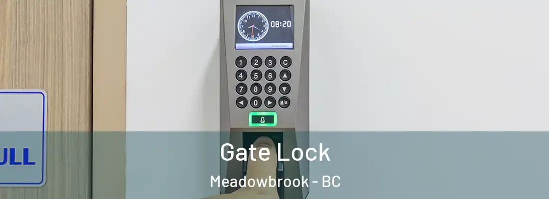  Gate Lock Meadowbrook - BC