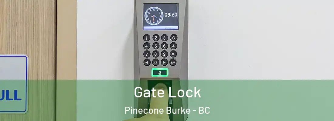  Gate Lock Pinecone Burke - BC