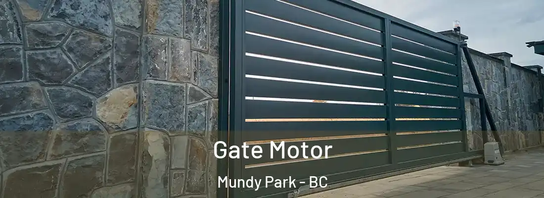  Gate Motor Mundy Park - BC