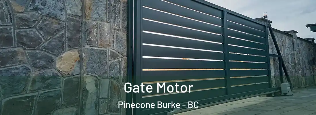  Gate Motor Pinecone Burke - BC
