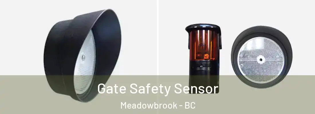  Gate Safety Sensor Meadowbrook - BC