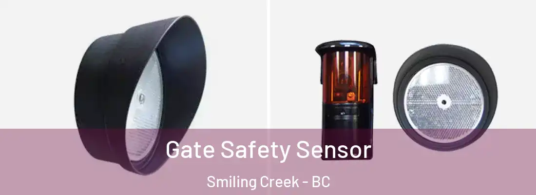  Gate Safety Sensor Smiling Creek - BC