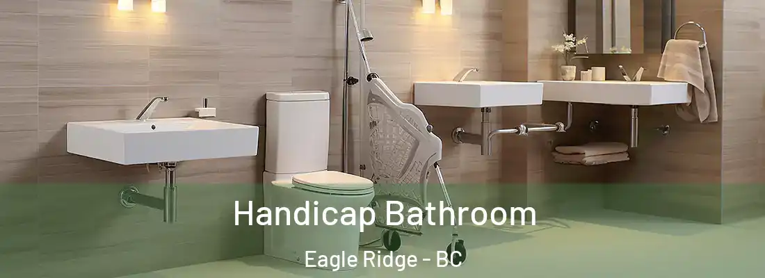  Handicap Bathroom Eagle Ridge - BC