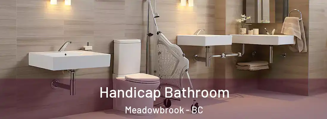  Handicap Bathroom Meadowbrook - BC