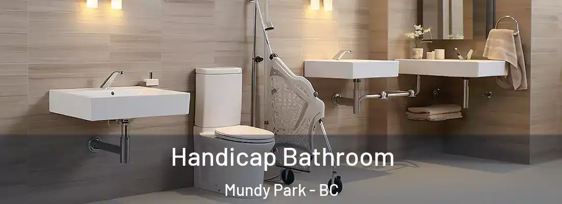  Handicap Bathroom Mundy Park - BC