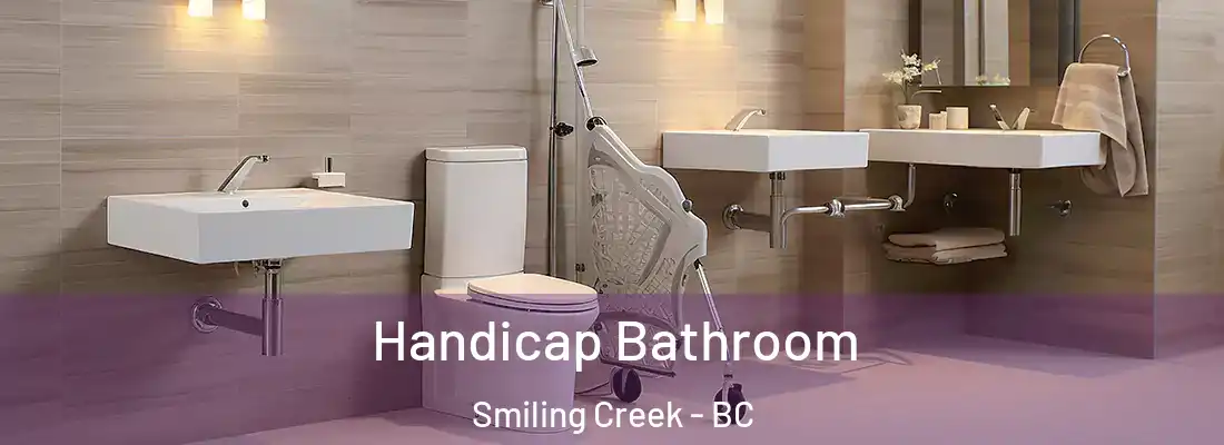  Handicap Bathroom Smiling Creek - BC