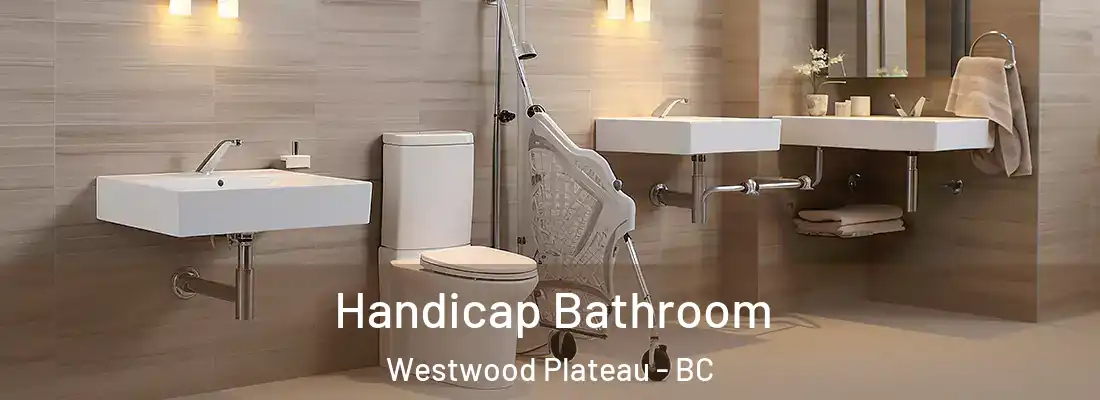  Handicap Bathroom Westwood Plateau - BC