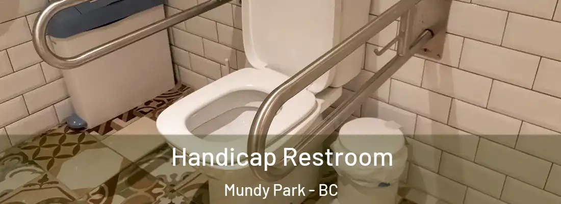 Handicap Restroom Mundy Park - BC