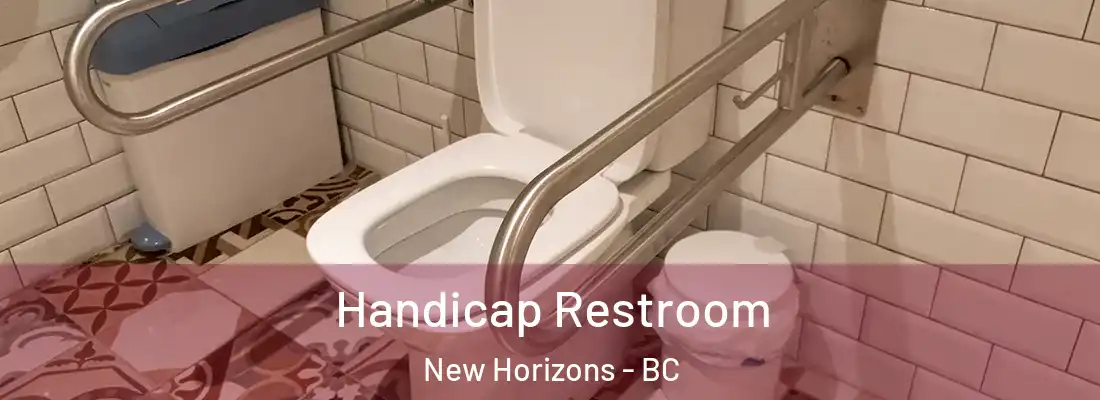  Handicap Restroom New Horizons - BC
