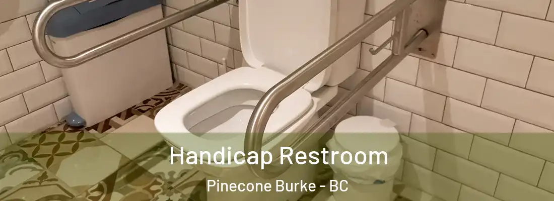  Handicap Restroom Pinecone Burke - BC