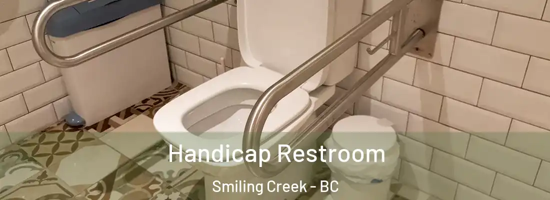  Handicap Restroom Smiling Creek - BC