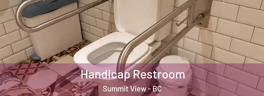  Handicap Restroom Summit View - BC