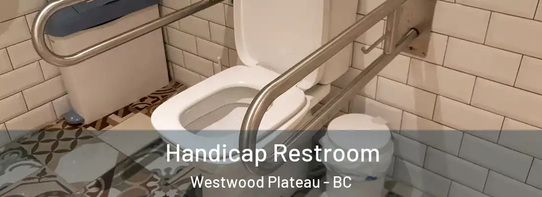  Handicap Restroom Westwood Plateau - BC