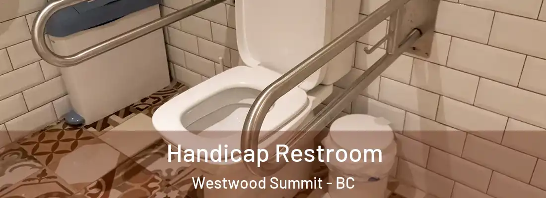  Handicap Restroom Westwood Summit - BC