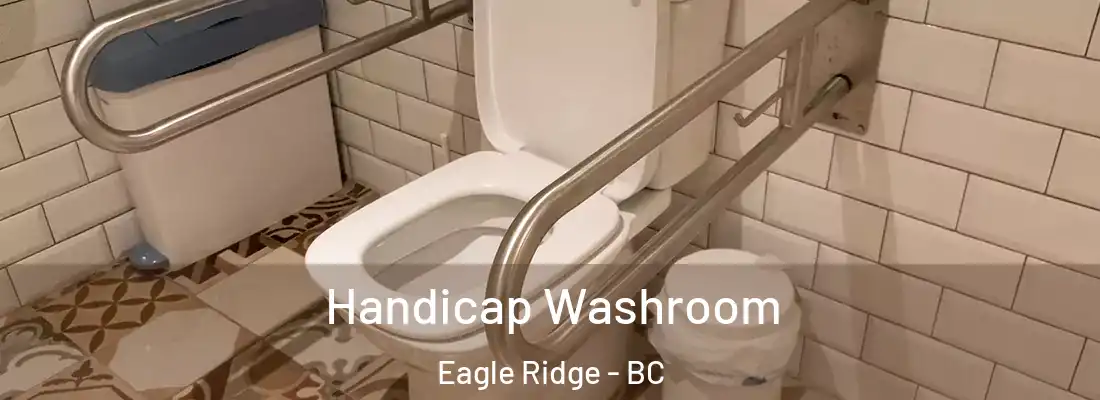  Handicap Washroom Eagle Ridge - BC