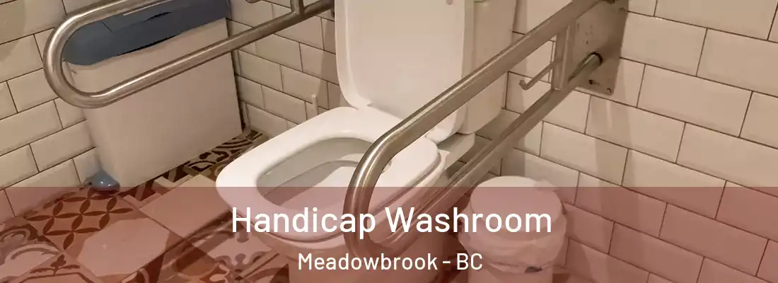  Handicap Washroom Meadowbrook - BC