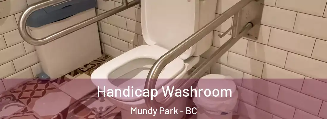  Handicap Washroom Mundy Park - BC