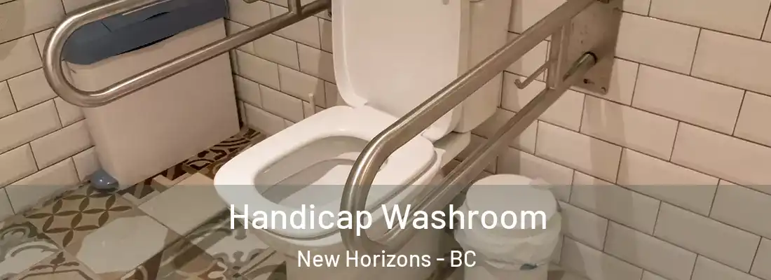  Handicap Washroom New Horizons - BC