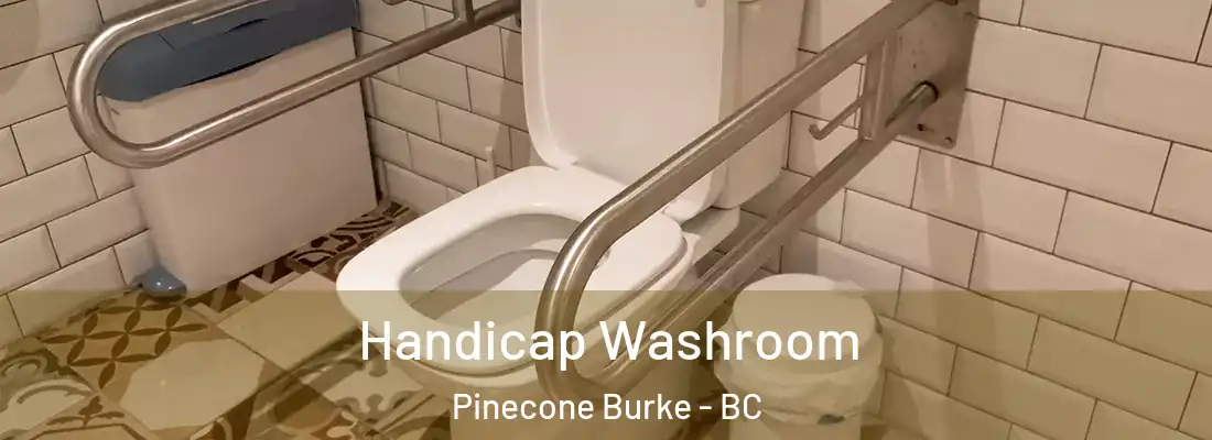  Handicap Washroom Pinecone Burke - BC