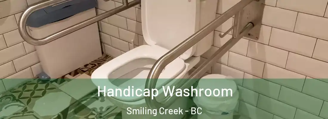  Handicap Washroom Smiling Creek - BC
